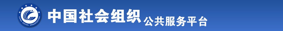 屌插入逼AV全国社会组织信息查询